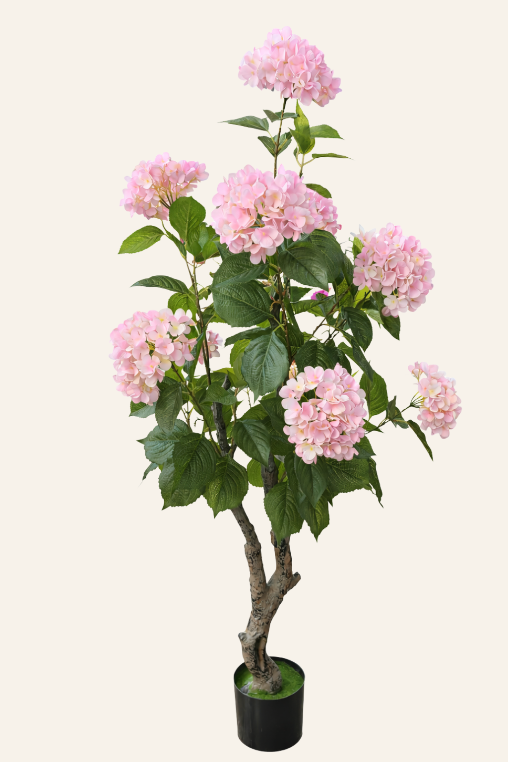 Hydrangea Blossom Tree