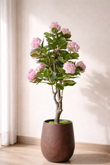 Hydrangea Blossom Tree