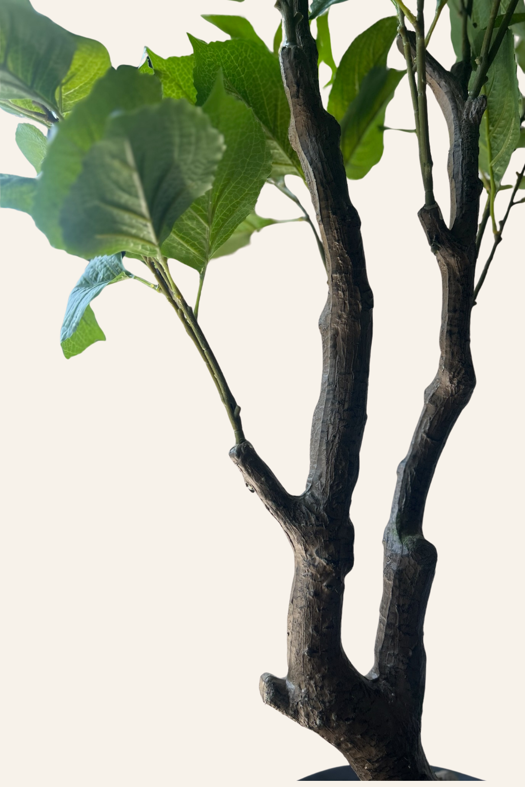 Hydrangea Blossom Tree