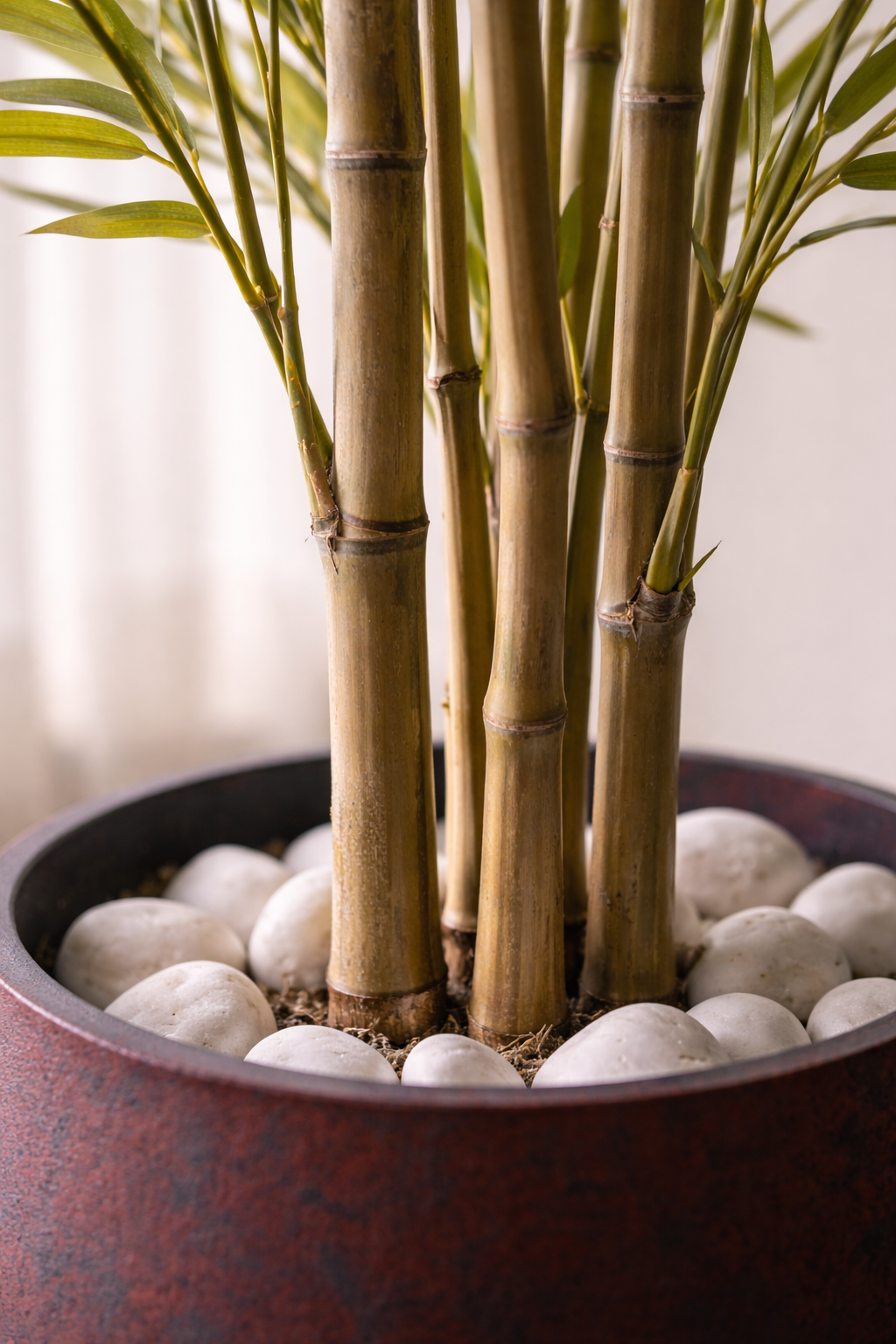 Golden Silk Bamboo Grove